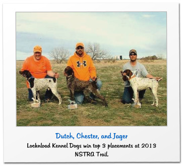 Dutch, Chester, and Jager Locknload Kennel Dogs win top 3 placements at 2013 NSTRA Trail.