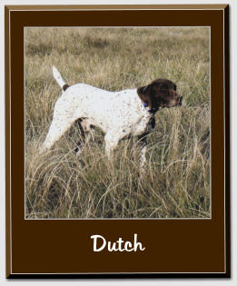 Dutch