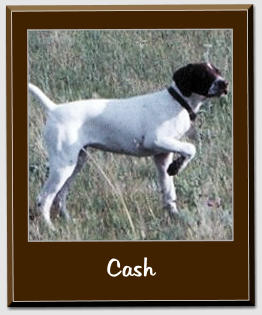 Cash