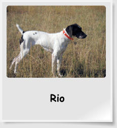 Rio