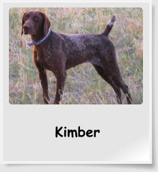 Kimber