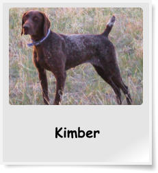 Kimber