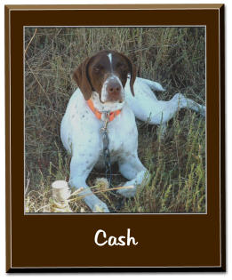 Cash