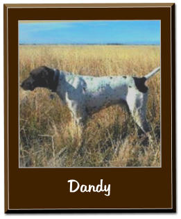 Dandy