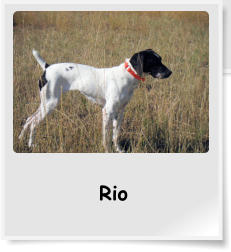 Rio