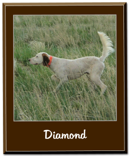 Diamond