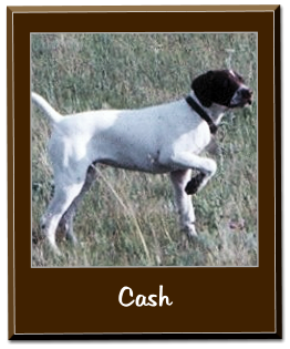 Cash