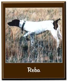 Reba