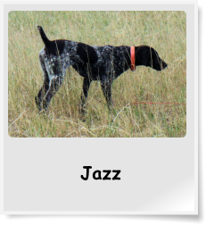 Jazz