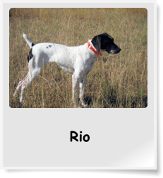Rio