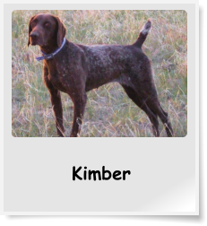 Kimber