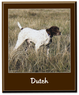 Dutch