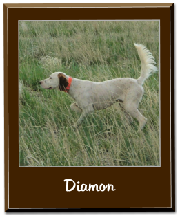 Diamon